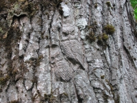 Ferry Island carving